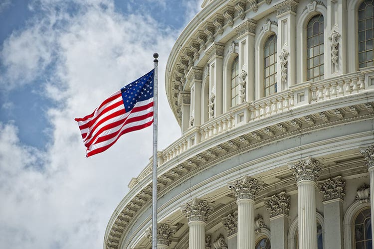 US flag by government building