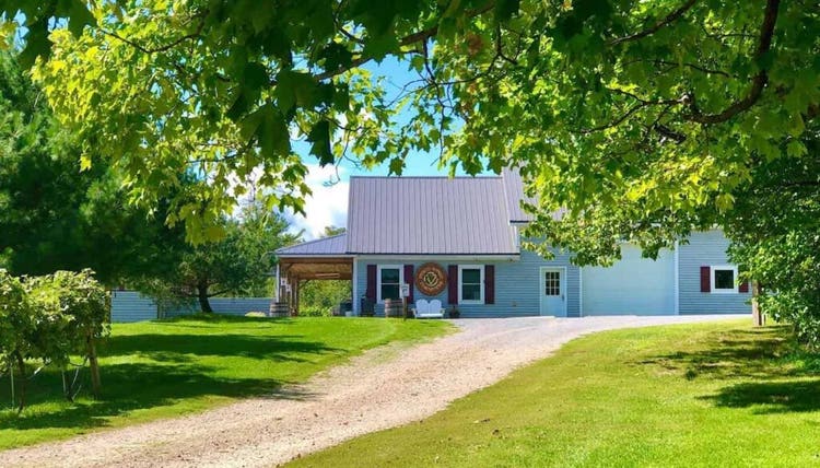 Vesco Ridge Vineyards driveway