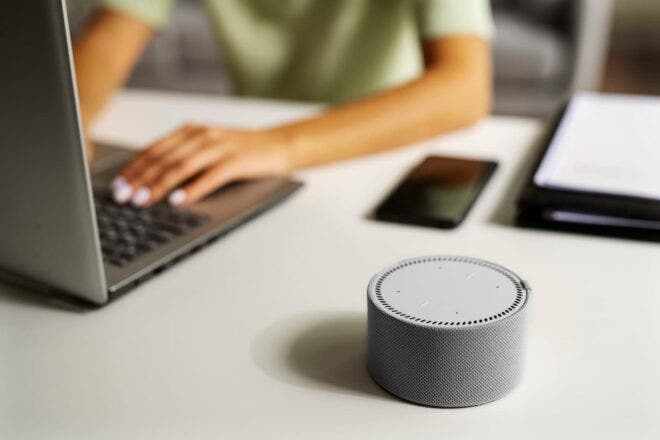 Person on laptop with voice assistant on desk