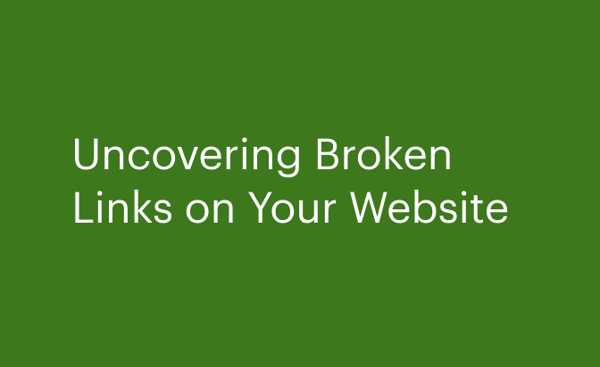 Uncovering Broken Links on Your Website