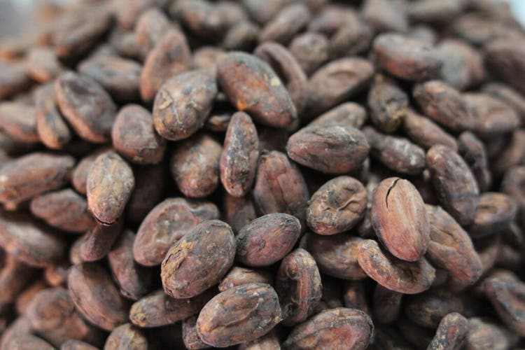 Cocoa beans