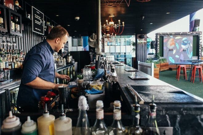 Bartender prepping behind the bar