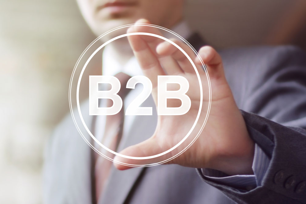 Professional holding B2B icon