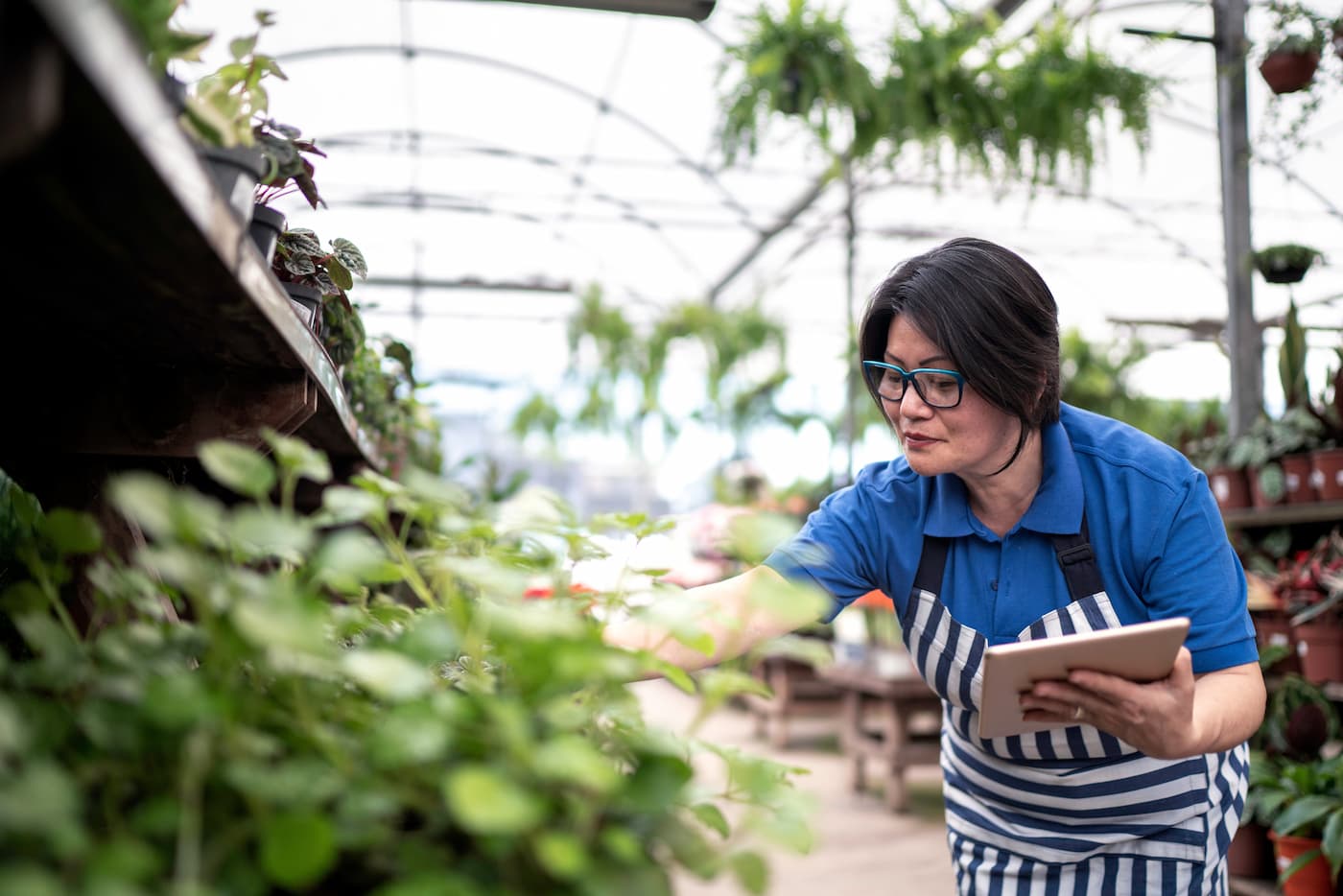 Woman checking plants in greenhouse