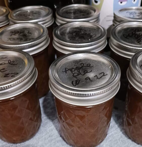 A dozen or more jars of preserves