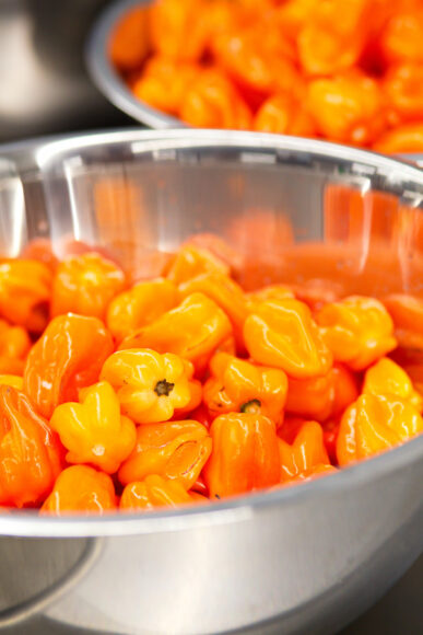 Tiny peppers used by The Pickled Pepper People