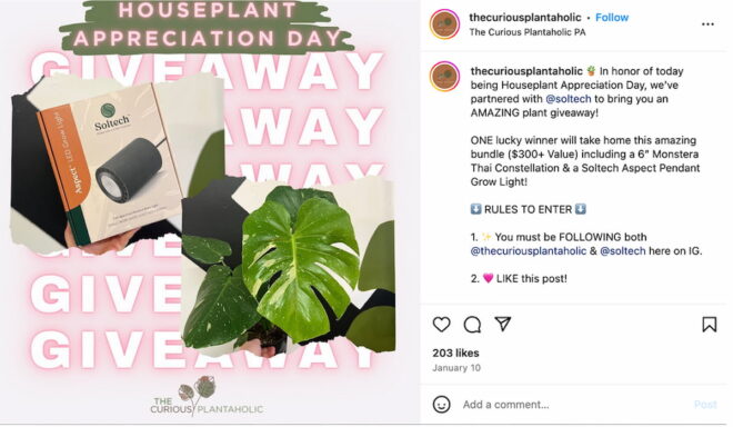 The Curious Plantaholic social post about a giveaway