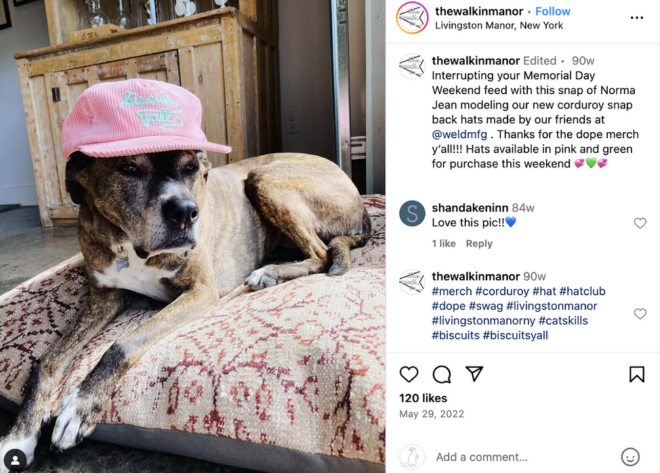 The Walk-In social post with picture of dog wearing baseball cap
