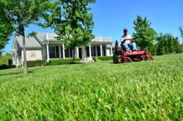 man moving lawn in front of house