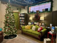 Bookstore reading room with Christmas tree in front of a big green sofa